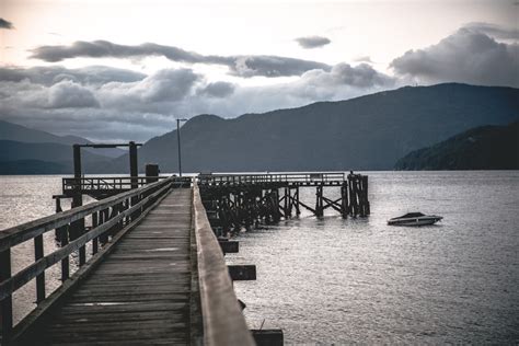 free pictures without copyright.